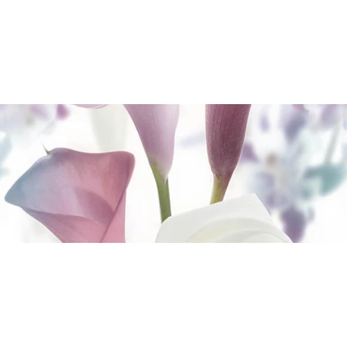 Панно Ceradim Dec Sano B 20х50 см