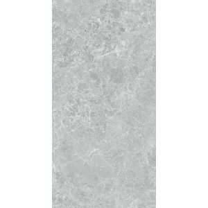 Керамогранит Stn ceramica Charisma P E 3DB grey mt rect 120х60 см