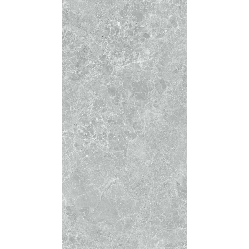 Керамогранит Stn ceramica Charisma P E 3DB grey mt rect 120х60 см