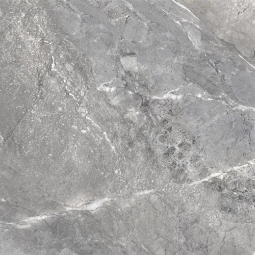 Керамогранит Delacora Wild Dark матовый серый D60260M 60х60 см