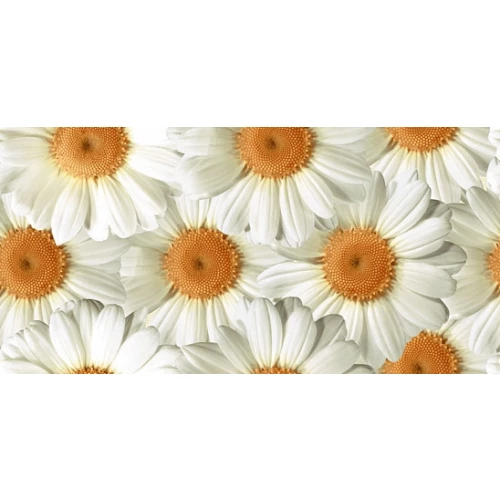 Декор Нефрит-Керамика Элегия Камилла песочный 07-00-5-08-00-23-505 40х20