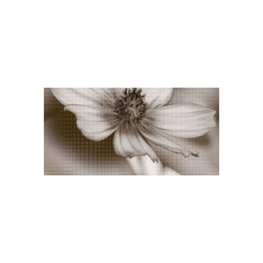 Декор стеклянный Belleza Восхищение Gold Morming В бежевый 40х20 см