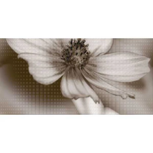 Декор стеклянный Belleza Восхищение Gold Morming В бежевый 40х20 см