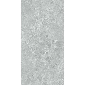Керамогранит Stn ceramica Charisma P E 3DB grey mt rect 120х60 см