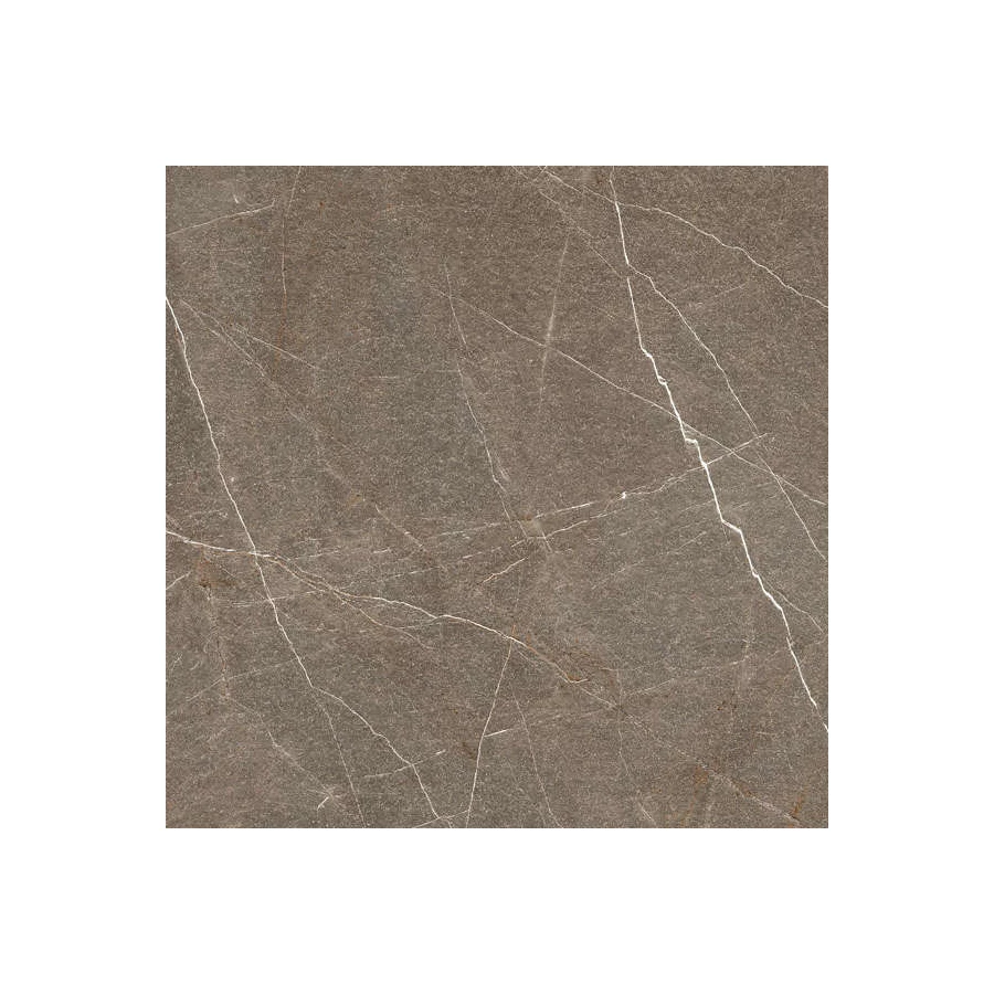 Керамогранит Idalgo Граните София велюр LLR ID9061E079LLR 60х60 см