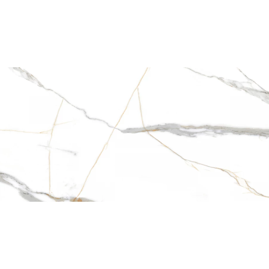 Керамогранит Absolut Gres Roma Grigio Gloss AB 1159G 120х60 см