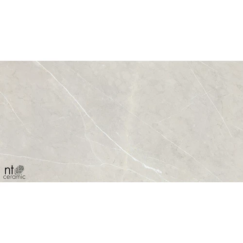 Керамогранит NT Ceramic Bright and Shiny NTT9101 Полированный BB612NTT9101P 120х60 см