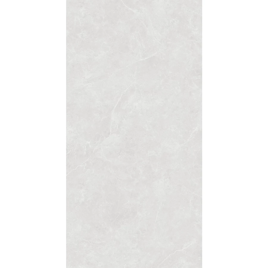 Керамогранит Creanza Oviedo Silver Solido матовый с микрогранулами светло-серый SL1003-A 120х60 см