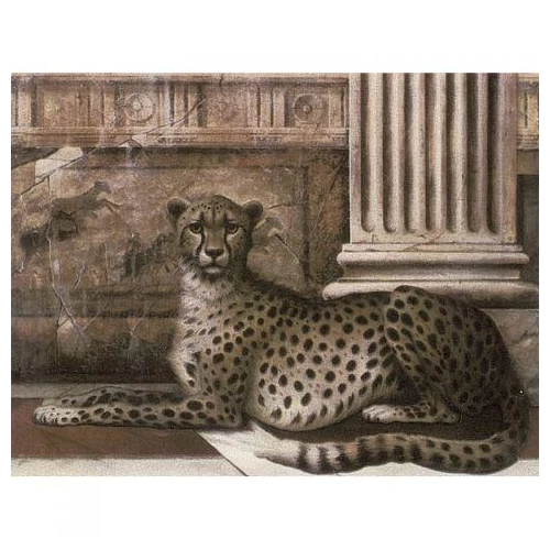 Декор Petracer's Grand Elegance Noblesse A Ghepardo B noblesse A 20х15 см