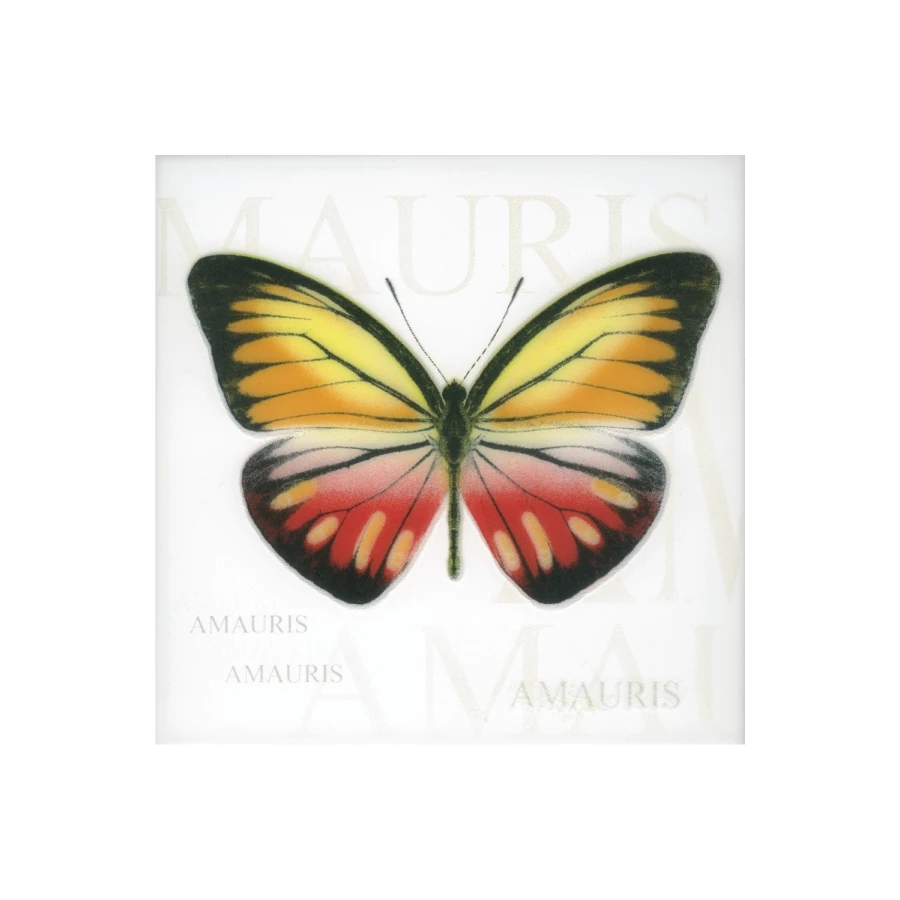 Декор Керамин Сан-ремо тип 3 белый 20х20 см