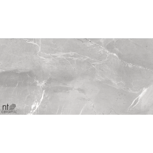 Керамогранит NT Ceramic Quanta Grey Slate Grey Лаппатированный NS612NTT9026L 120х60 см