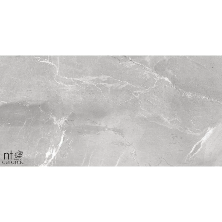 Керамогранит NT Ceramic Quanta Grey Slate Grey Лаппатированный NS612NTT9026L 120х60 см