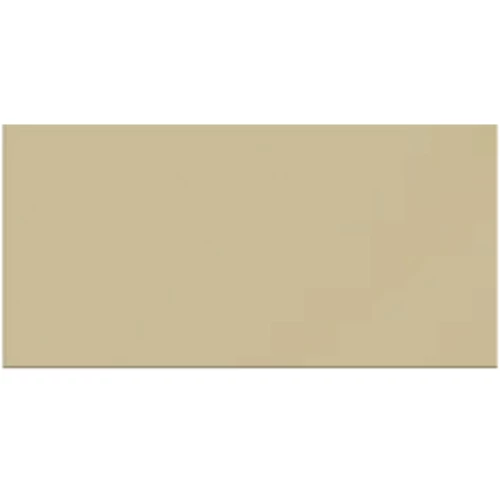 Керамогранит Керамика Будущего Моно CF 100 аворио полир. PR 60х30 см