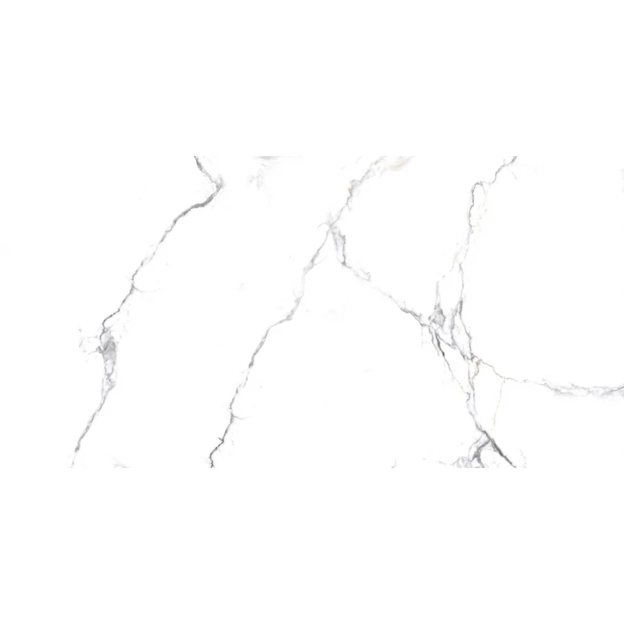 Керамогранит PrimaVera Acothly Matt 1,44 м2 NR219 120х60 см