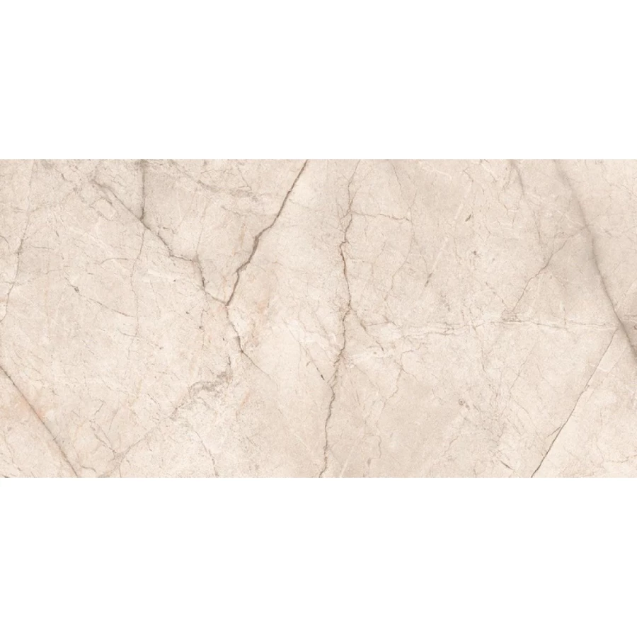 Керамогранит Ocean Ceramic India Silver Root Pearl OC0000047 160х80 см