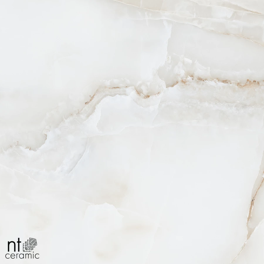 Керамогранит NT Ceramic Onyx Majestic Полированный NTT995030P 60х60 см