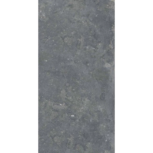 Керамогранит Ariana Ceramica Memento bruges smoke antique 3d R 12321 120х60 см