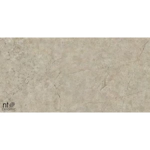 Керамогранит NT Ceramic Quanta Grey NTT9021 Лаппатированный NS612NTT9021L 120х60 см