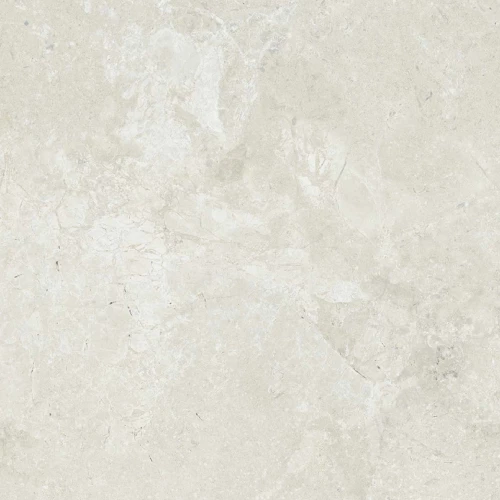 Керамический гранит Dako Legend светло-серый Е-5000/М 60х60 см