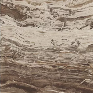 Керамогранит Rex Ceramiche I Marmi Rex Marble Brown Nat 728955 60x60 
