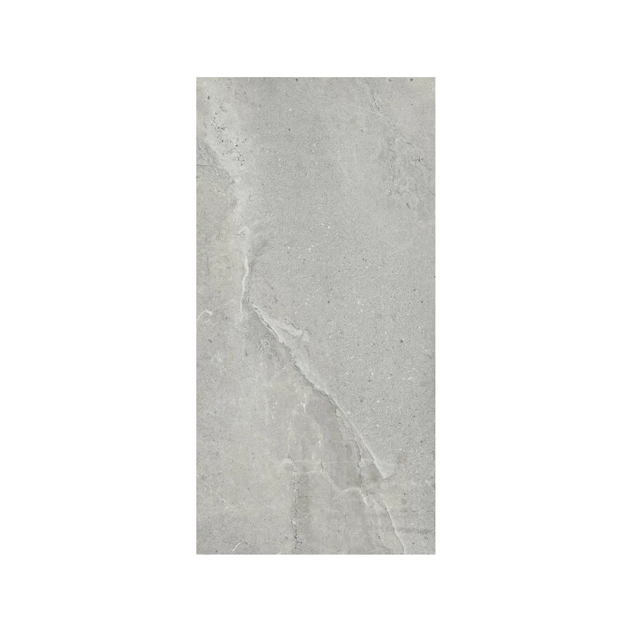 Керамогранит ProGRES Simfony матовый серый PRO 0243M 120х60 см