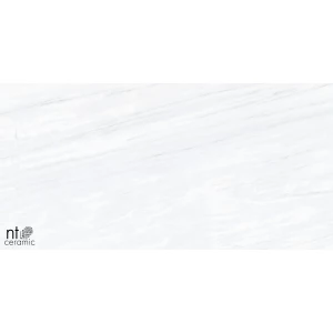 Керамогранит NT Ceramic Aurora NTT9801 Полированный AU612NTT9801P 120х60 см