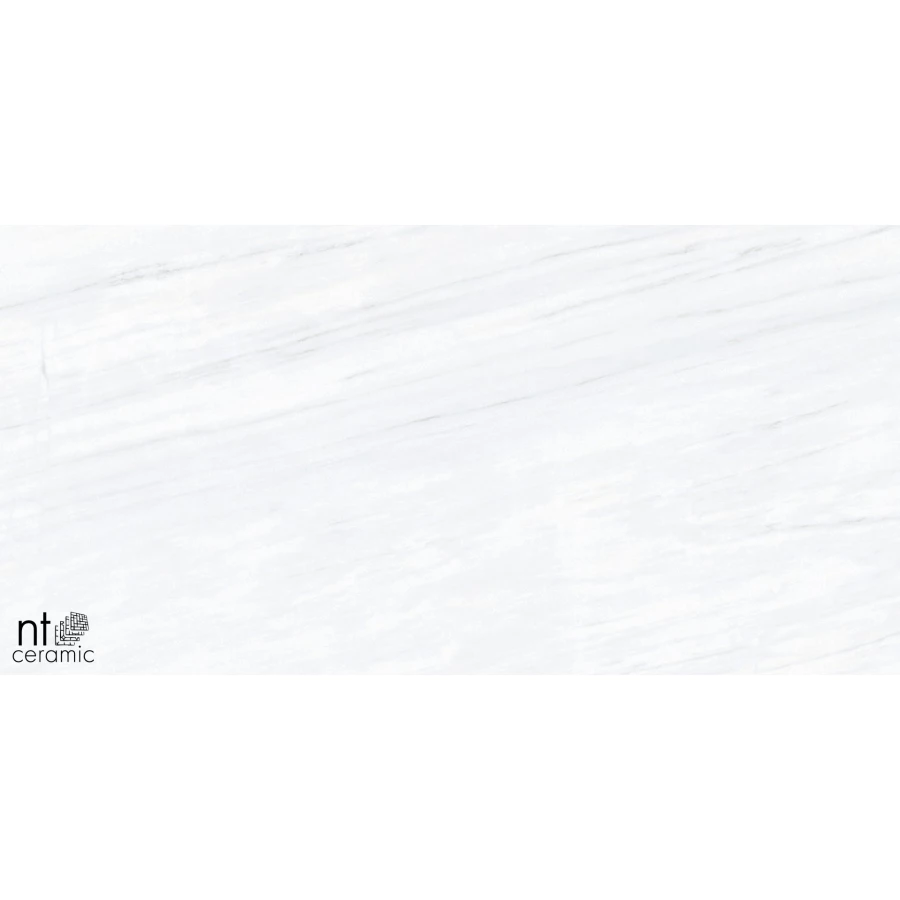 Керамогранит NT Ceramic Aurora NTT9801 Полированный AU612NTT9801P 120х60 см