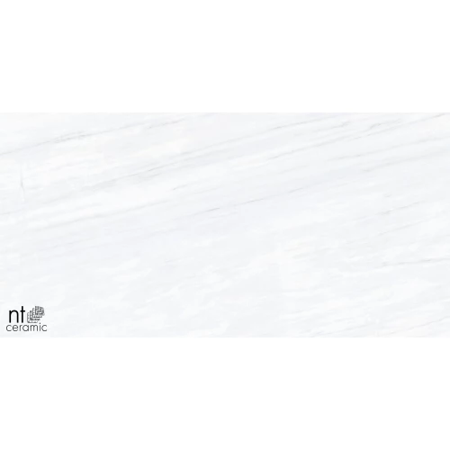 Керамогранит NT Ceramic Aurora NTT9801 Полированный AU612NTT9801P 120х60 см