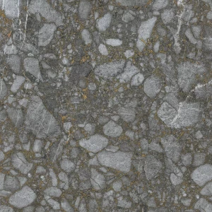 Керамогранит Atlas Concorde Forte Dei Marmi Quark Ceppo Apuano Quartz Lapp серый 610015000704 80х80 см