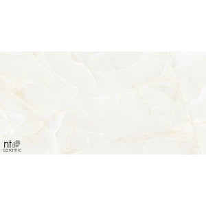 Керамогранит NT Ceramic Onyx Predo Полированный NTT99504P 120х60 см