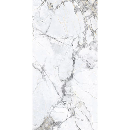 Керамогранит Arcadia Ceramica Malta Bianco Carving бело-серый CR4018-A 120х60 см