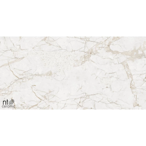 Керамогранит NT Ceramic Marmo Impero Grey Carving Карвинг NTT99519M 120х60 см