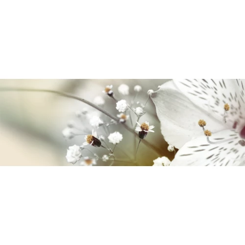 Декор Keros Ceramica Dec Calido Dance B 25х70х1.1 см