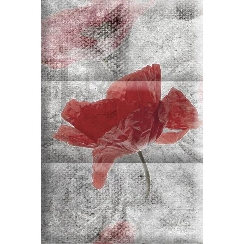 Плитка настенная Absolut Keramika Monocolor Biselado Composicion Opio C ABC0000115 22,5х15 см