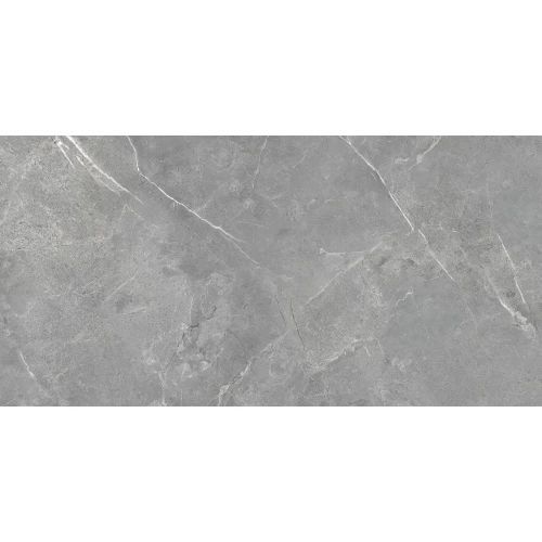 Керамогранит Eurotile Ceramica Rubis полированный серый 7930138705566 120x60 см