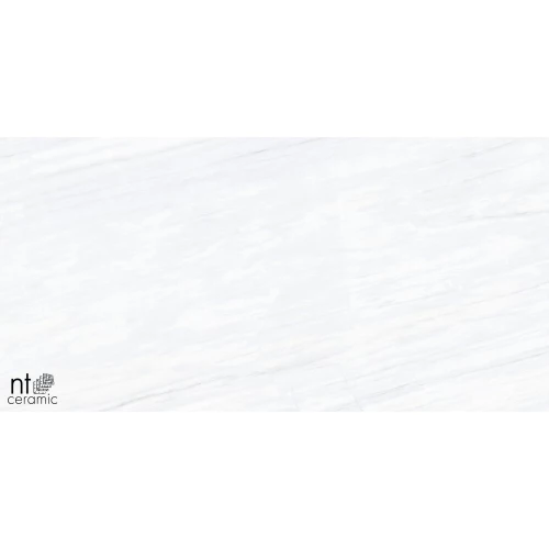 Керамогранит NT Ceramic Aurora NTT9801 Матовый AU612NTT9801M 120х60 см