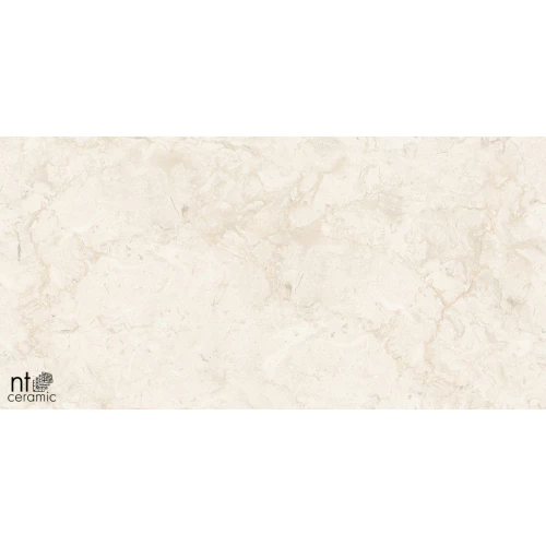 Керамогранит NT Ceramic Gravel Stone Almond Endless Карвинг NTT99523C 120х60 см