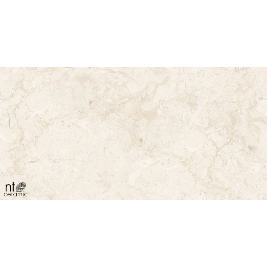 Керамогранит NT Ceramic Gravel Stone Almond Endless Карвинг NTT99523C 120х60 см