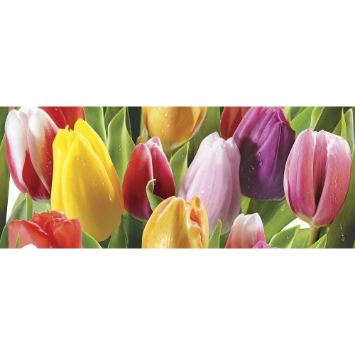 Декор Mosplitka Тюльпан многоцветный 20х50 см