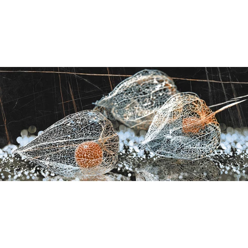 Декор InterCerama Fancy черный 50*23 см