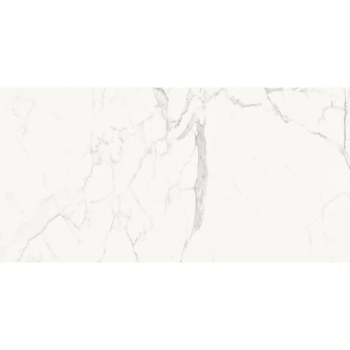 Керамогранит Delacora Porfido Carrara матовый белый 60120PFC15M 120х60 см