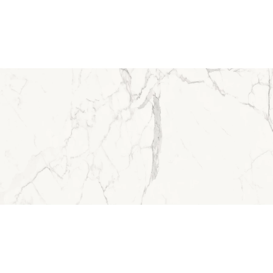 Керамогранит Delacora Porfido Carrara матовый белый 60120PFC15M 120х60 см