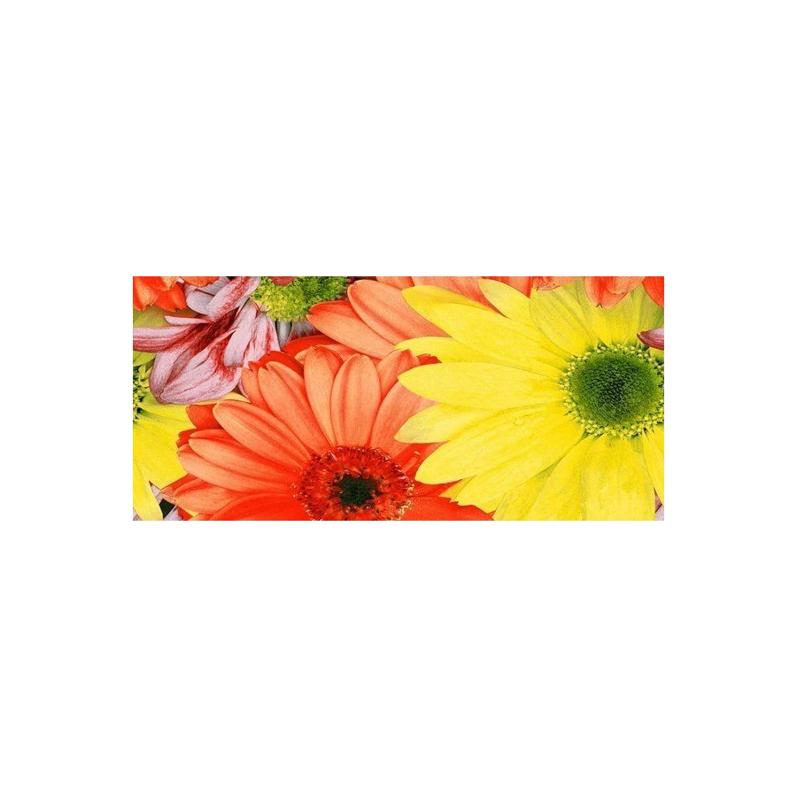 Бордюр Нефрит-Керамика Герберы Красные 05-01-1-93-00-45-074-0 25х11.5