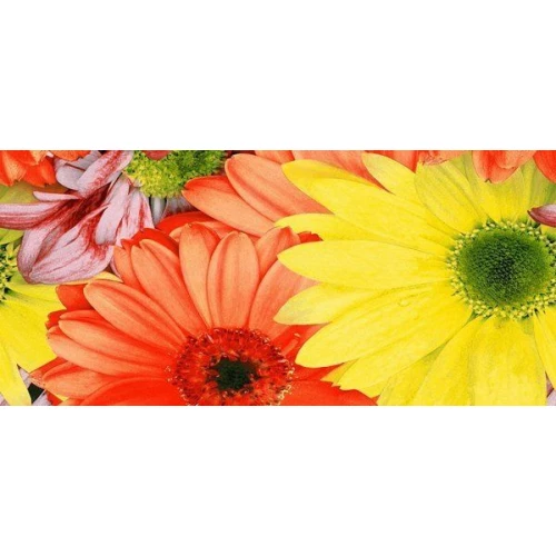 Бордюр Нефрит-Керамика Герберы Красные 05-01-1-93-00-45-074-0 25х11.5