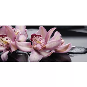 Панно Cerrol Porto Orchid lila 4пл 50x120 