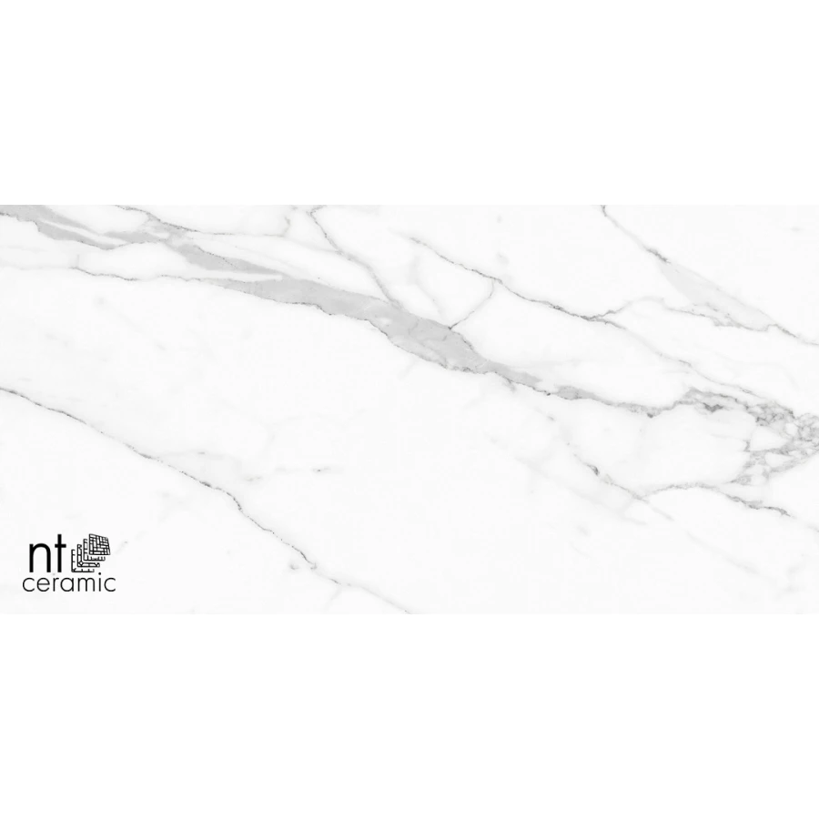 Керамогранит NT Ceramic Bright and Shiny Statuario Infinity Матовый NTT9125M 120х60 см