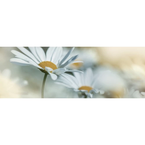 Декор Keros Ceramica Dec Calido Dance E 25х70х1.1 см