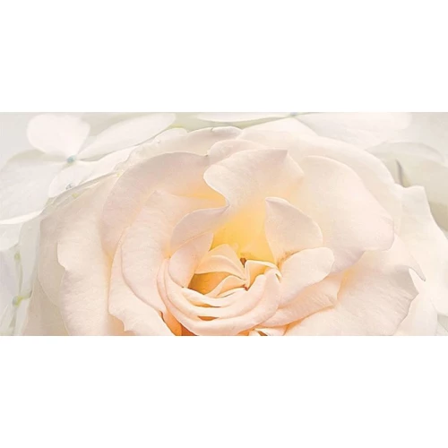 Декор Нефрит-Керамика Амелия серый Роза 04-01-1-10-05-06-465-1 50х25