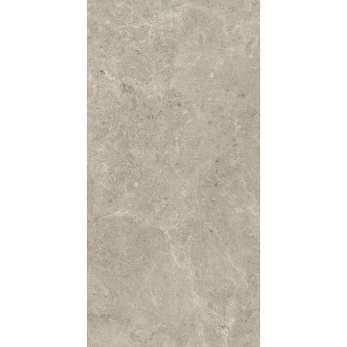 Керамогранит Atlas Concorde Нира Мист Матте Сенситеч / Nyra Mist Matte Sensitech матовый серый HCQ7 120х60 см