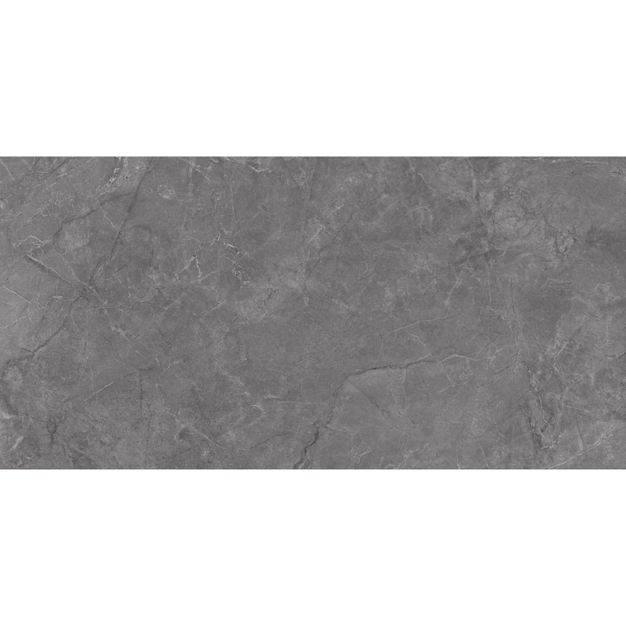 Плитка настенная Laparet Aston серый 00-00-5-18-01-06-4133 60х30 см